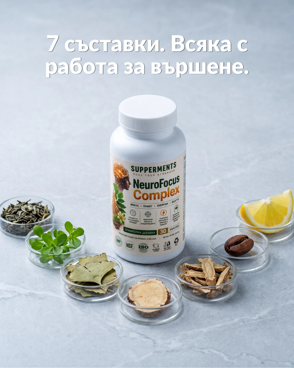NeuroFocus Complex