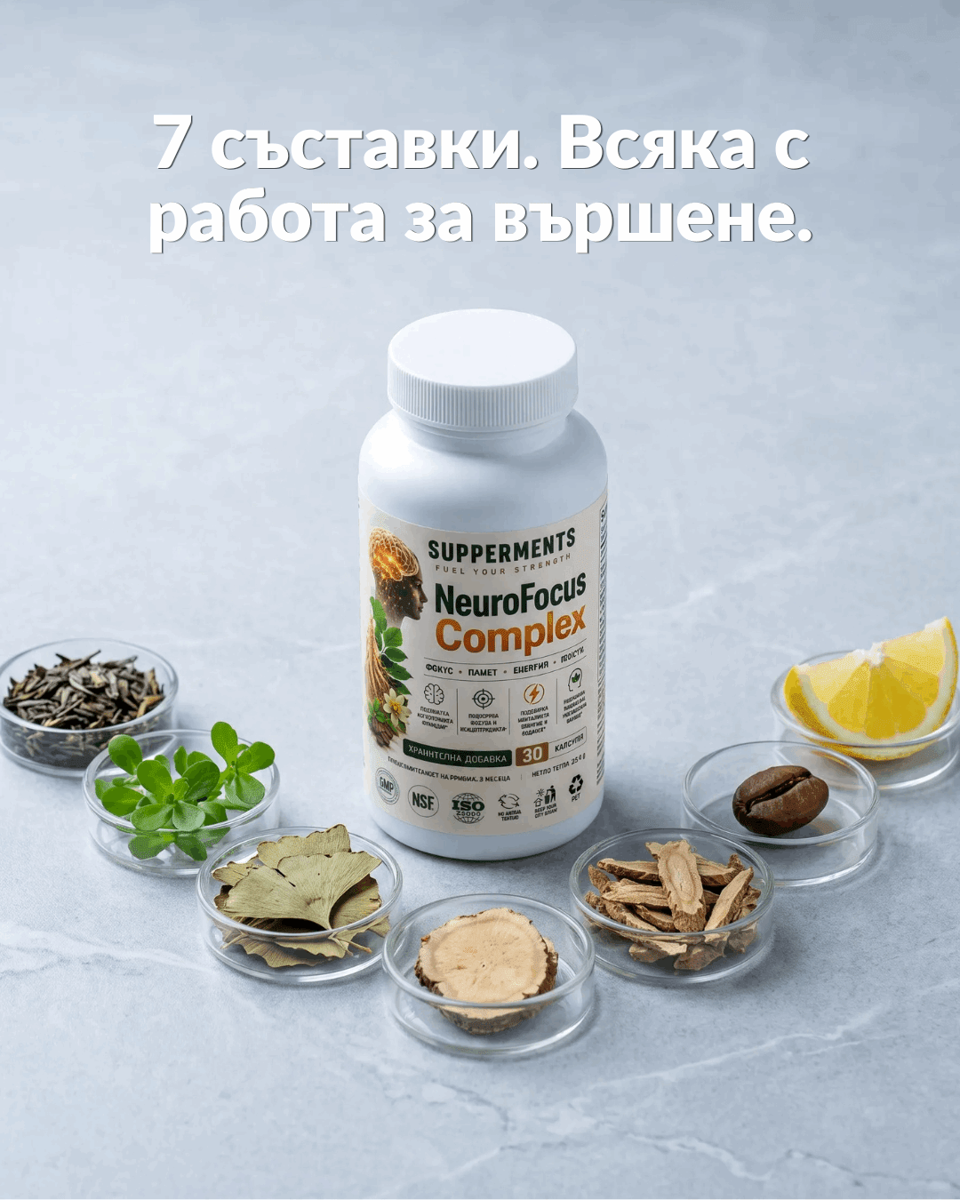 NeuroFocus Complex - Подкрепи Ума си с Естествена Концентрация - SUPPERMENTS